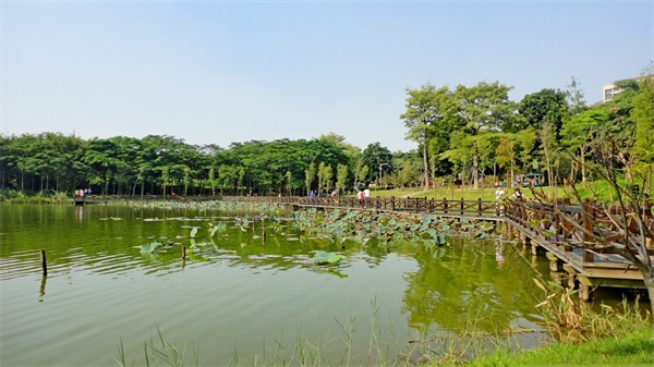 东莞松山湖桃源公园