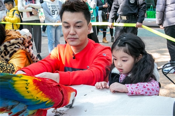 坐空中缆车穿越熊猫乐园，玩转动物新世界，广州智汇