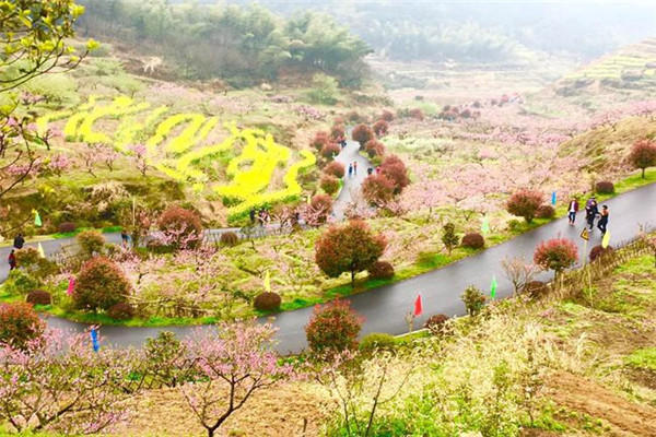 乡村旅游