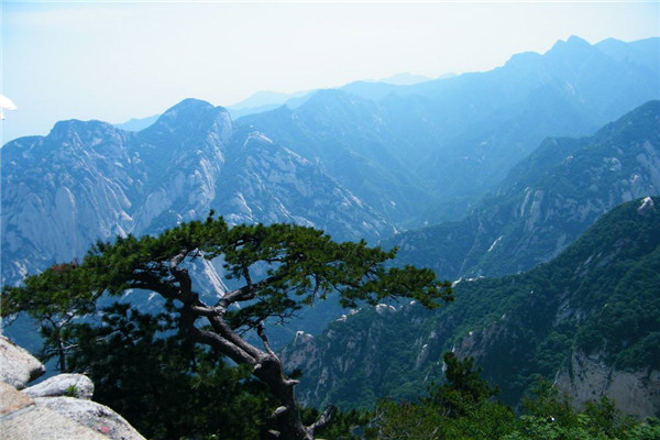 景区