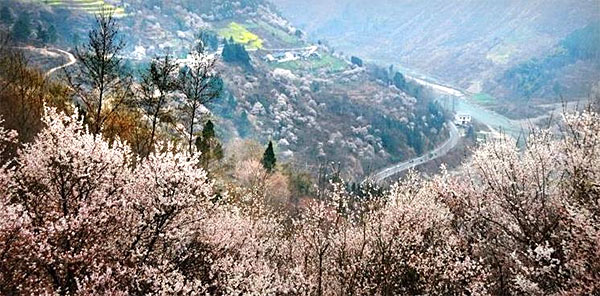 乡村旅游，广州智汇