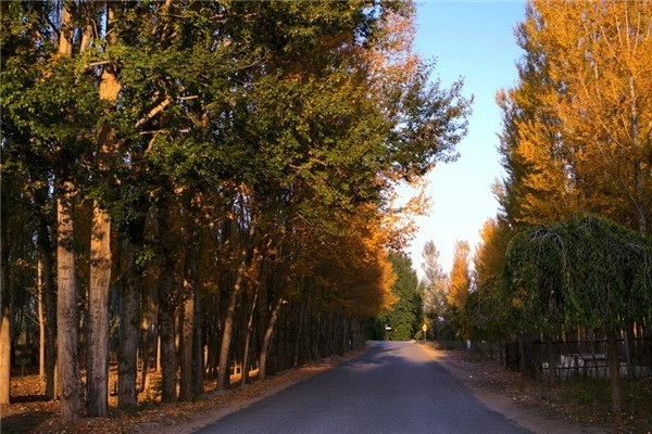 四川生态旅游