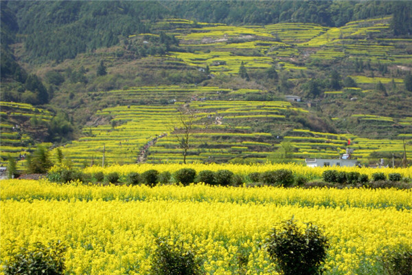 江西乡村旅游