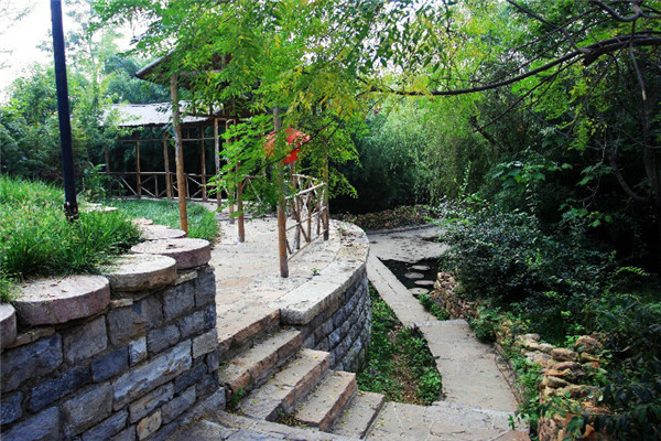 山东乡村旅游