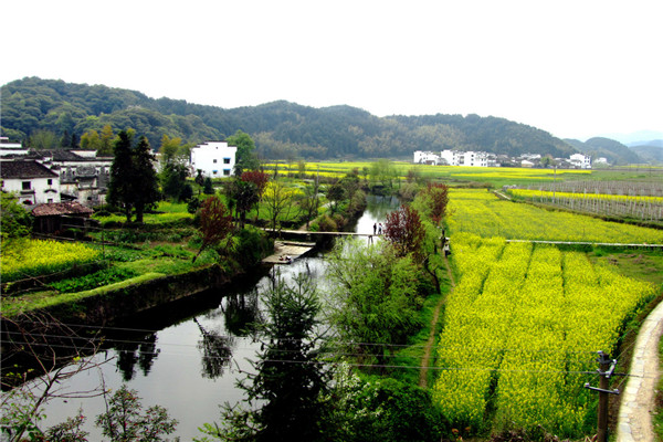 乡村旅游规划