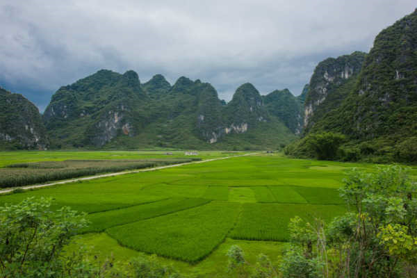 乡村旅游规划