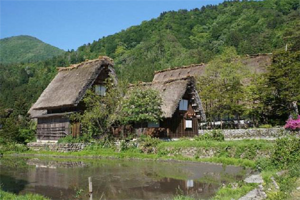 乡村旅游规划