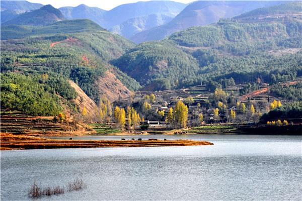 广东省旅游条例