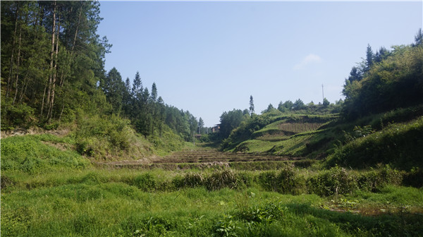 重庆九龙谷旅游度假区