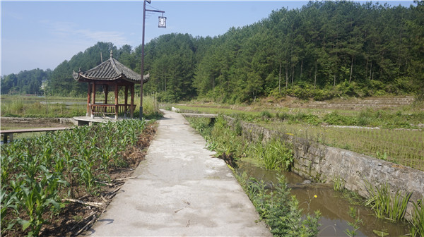 重庆九龙谷旅游度假区项目
