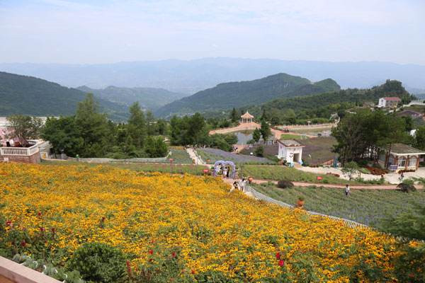 乡村旅游规划