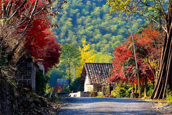 乡村旅游规划