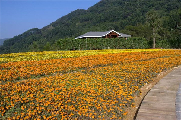 旅游规划