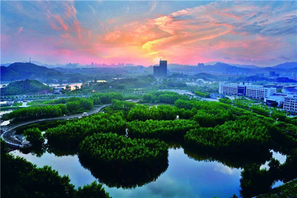 大亚湾红树林城市湿地公园