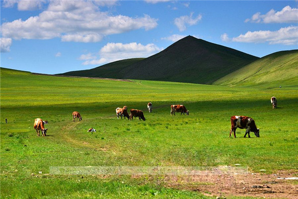 乡村旅游策划规划