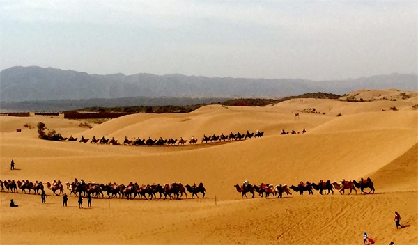 旅游产业策划_旅游产业规划_旅游产业运营管理_广州智汇