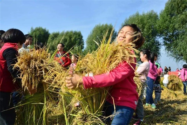 乡村旅游策划_乡村旅游规划_乡村旅游运营管理_广州智汇