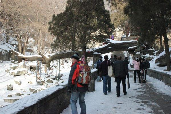 旅游产业策划_旅游产业规划_旅游产业运营管理_广州智汇