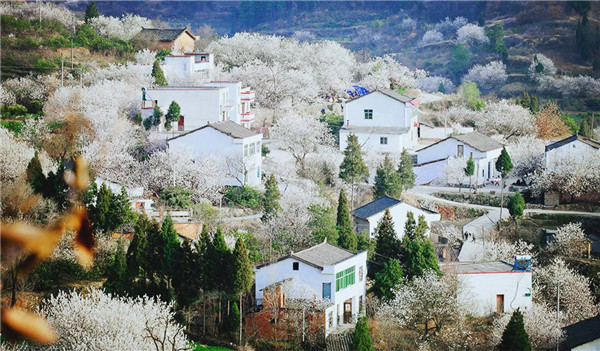 60条乡村旅游精品线路喜获国家推介_乡村旅游_美丽乡村_广州智汇