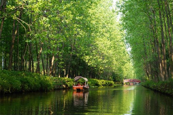 森林旅游：湖南森林旅游项目多市场大收益好_乡村旅游策划_乡村旅游规划_乡村旅游运营管理_广州智汇