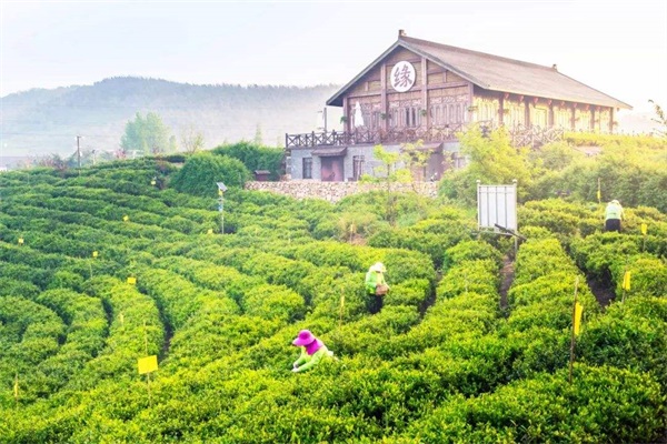 乡村旅游策划_乡村旅游规划_乡村旅游运营管理_广州智汇