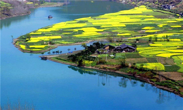 跨越时空，智慧引领下农业升级_乡村旅游_规划设计_中以农业生态园