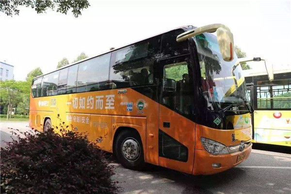 河南进一步降低国有景区门票价格_旅游惠民_门票降价_智汇文旅