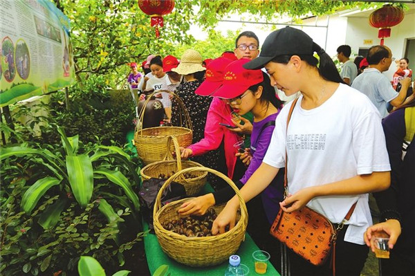 是小打小闹？还是大刀阔斧？乡村旅游如何盈利_乡村旅游_乡村振兴_智汇文旅