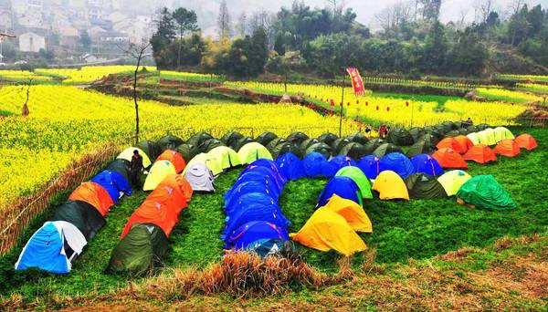 休闲农业与乡村旅游如何摆脱大棚房困扰？_休闲农业_乡村旅游_智汇文旅