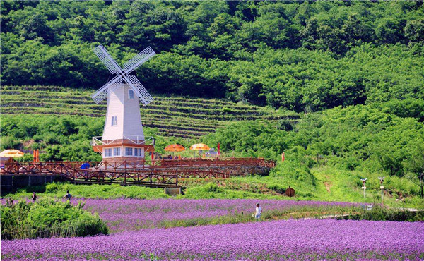 乡村旅游筹建开发 这些点你必须知道_乡村旅游_总体旅游规划_智汇文旅